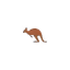 Kangaroo Symbol Style