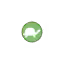 Reptile Observations Symbol Style