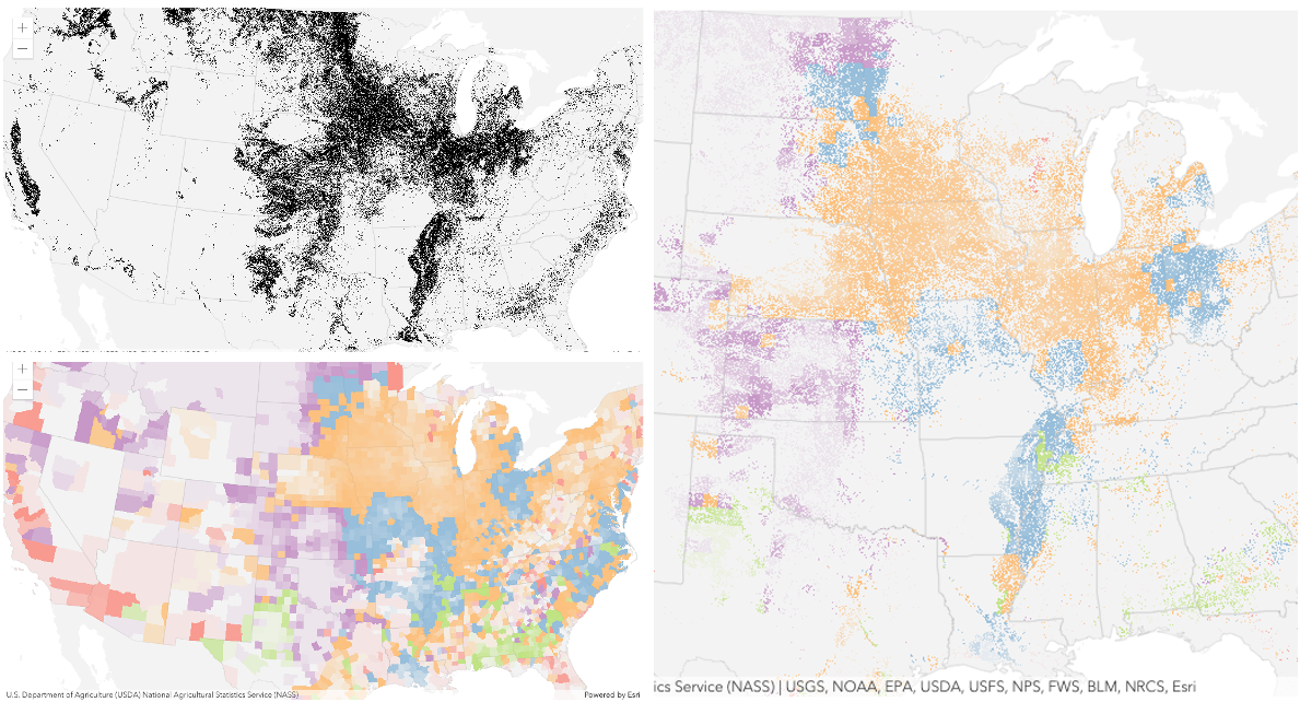 Featurelayer Arcgis Api For Javascript