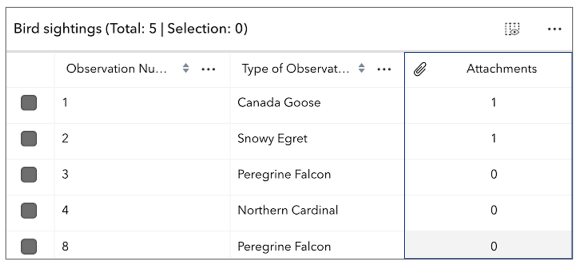 featuretable attachmentsEnabled