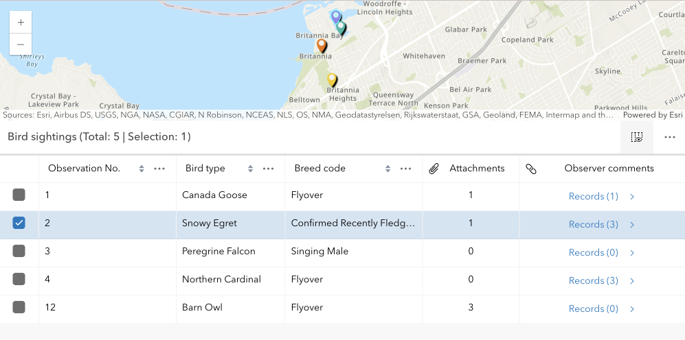 Origin table related records