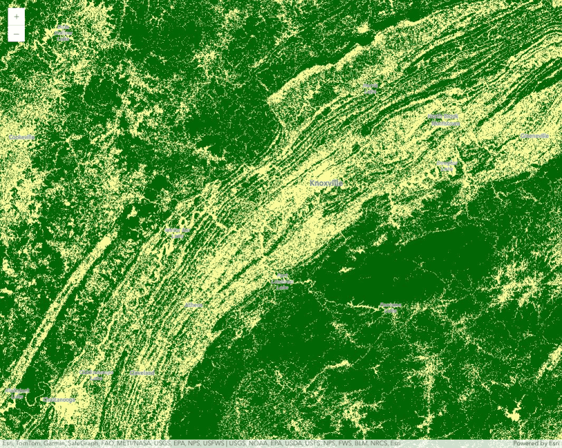 ImageryLayer rasterFunction