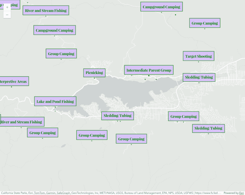 Add labels to a FeatureLayer