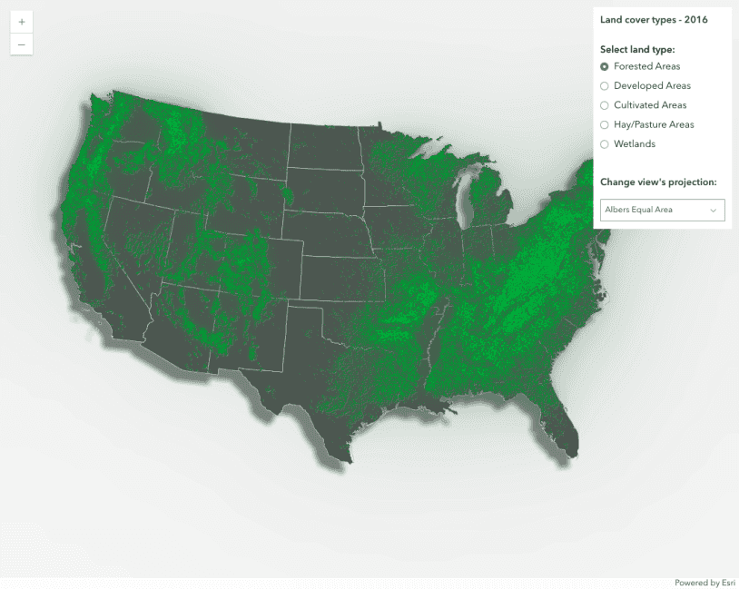 Hosted land cover ImageryTileLayer