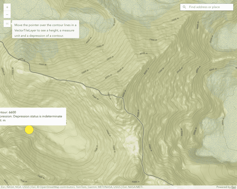 VectorTileLayer hitTest