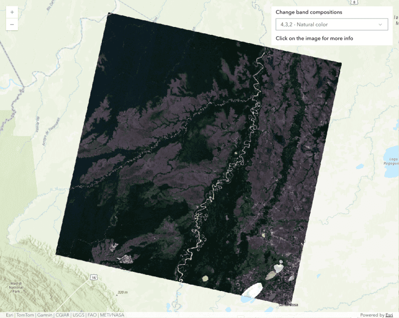 ImageryTileLayer with Cloud Optimized GeoTiff
