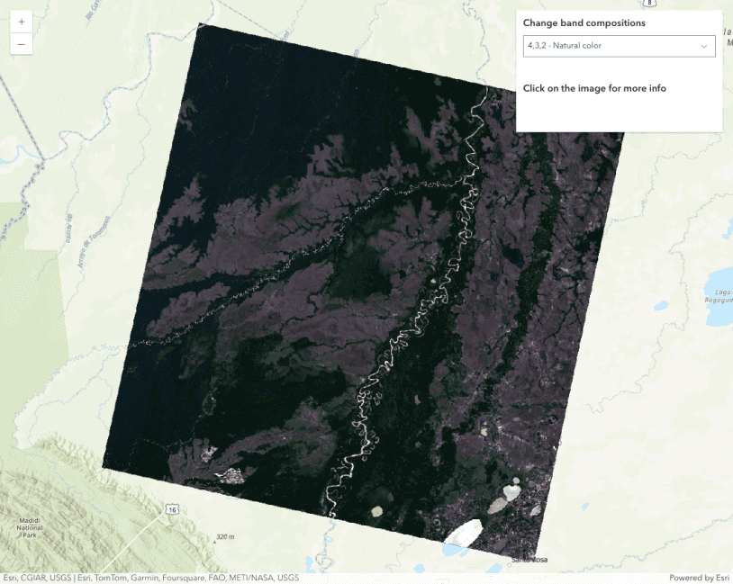 ImageryTileLayer with Cloud Optimized GeoTiff