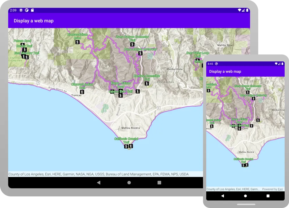 display a web map