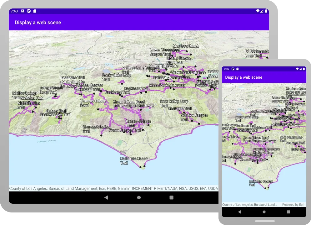 display a web scene
