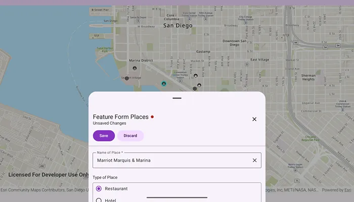 Image of Edit features using feature forms