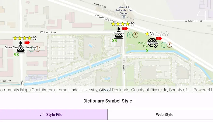 Image of style features with custom dictionary