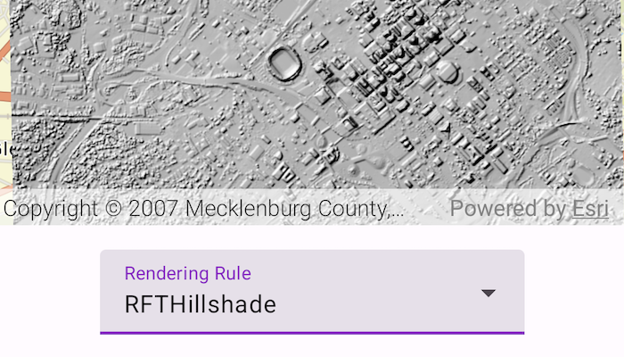 Image of Apply raster rendering rule sample