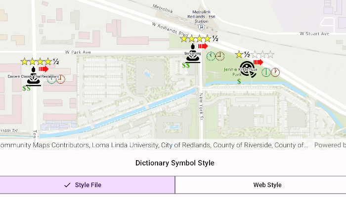Image of style features with custom dictionary