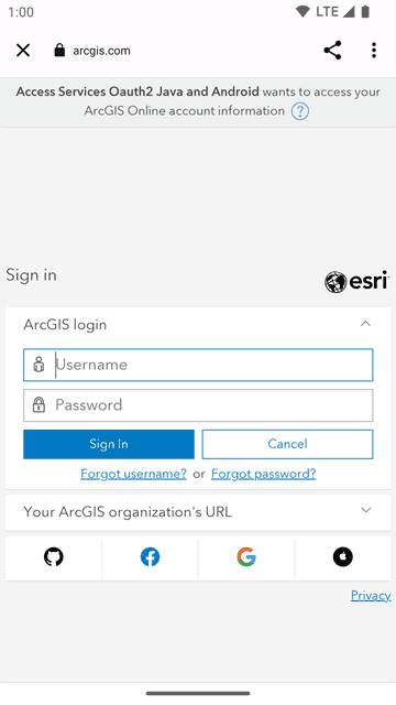 access services with oauth 2 login browser