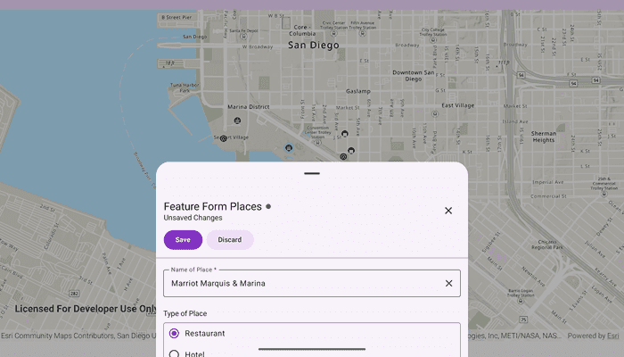Image of Edit features using feature forms