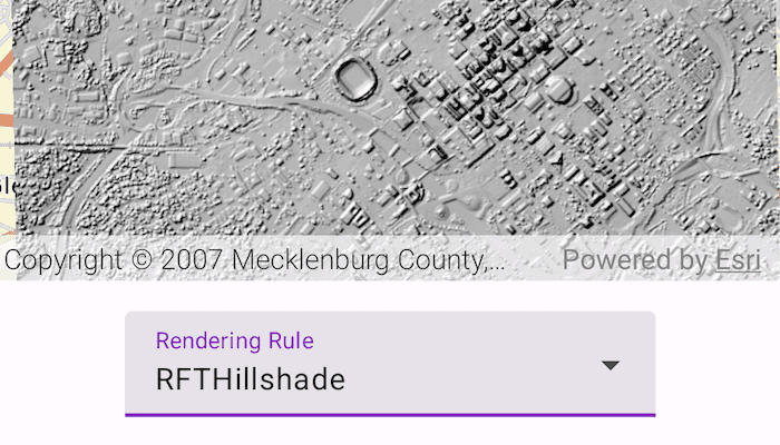 Image of Apply raster rendering rule sample