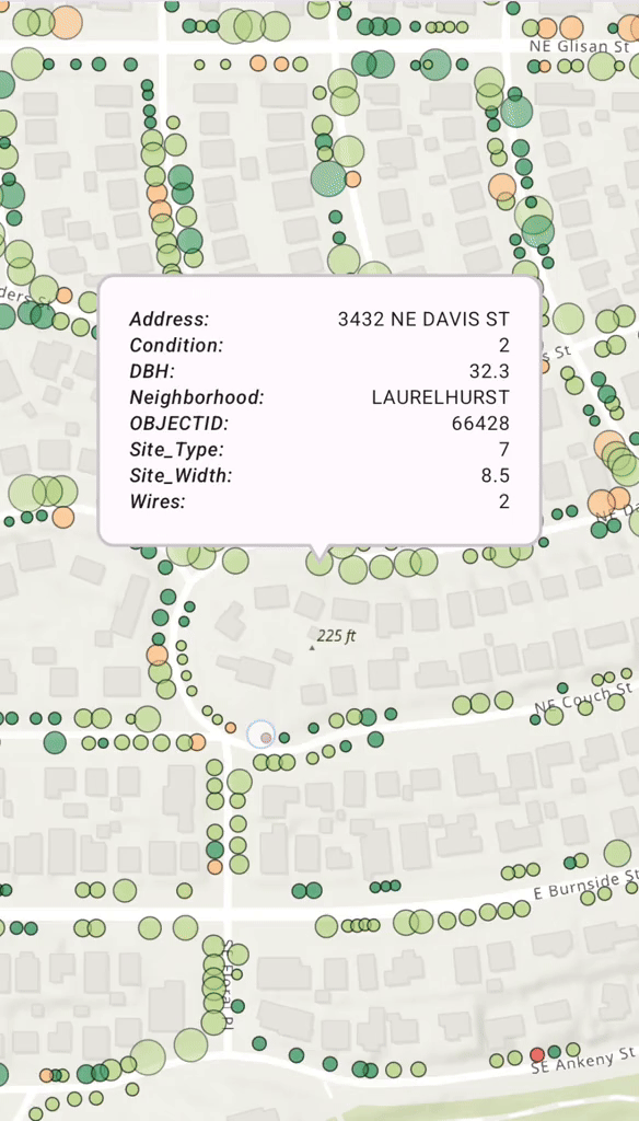 Perform Geoview Operations Demo