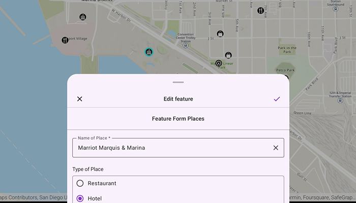 Image of Edit features using feature forms