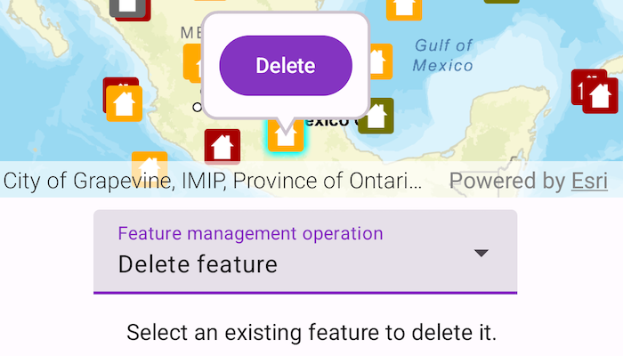 Screenshot of manage features