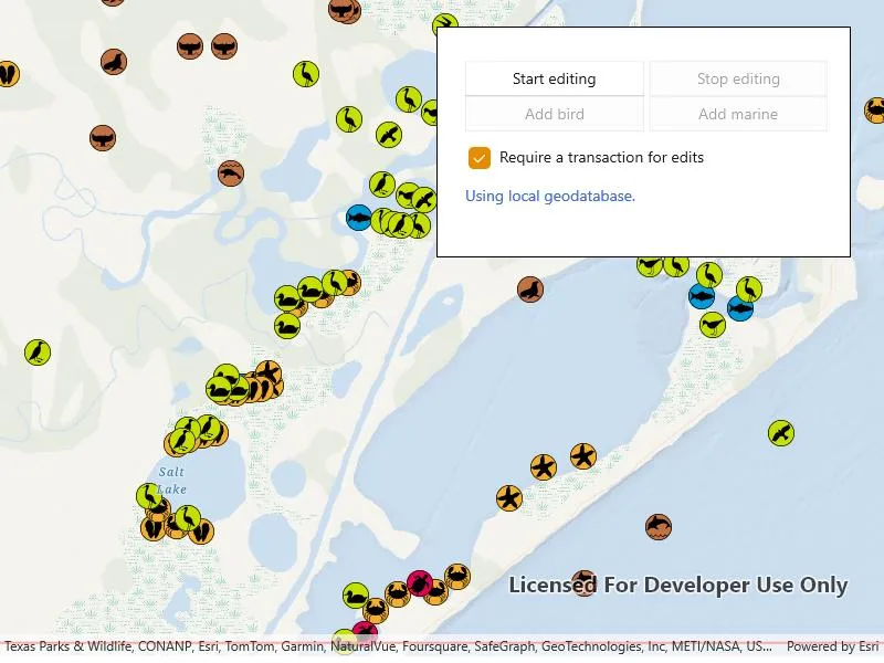 Image of geodatabase transactions
