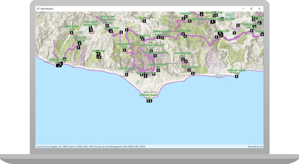 display a web map