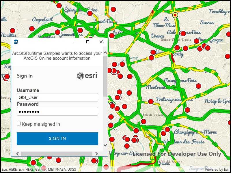 webmap viewer .net