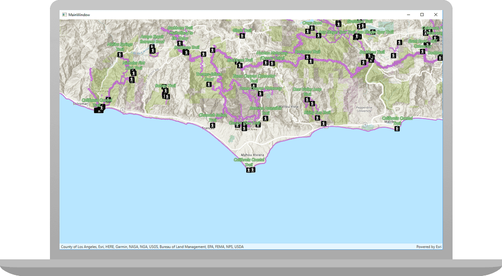 webmap viewer .net