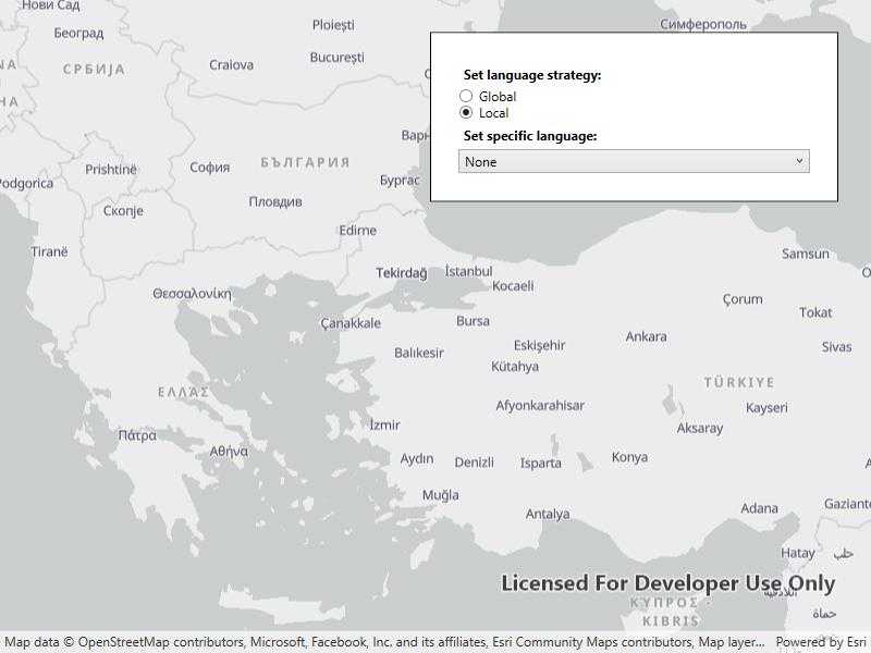 Configure basemap style parameters