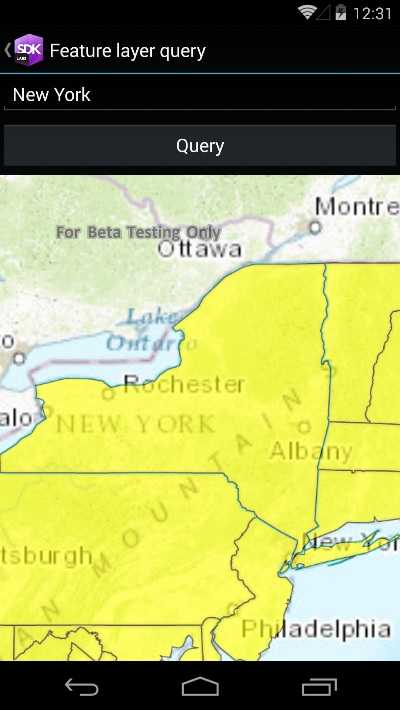 Image of feature layer query