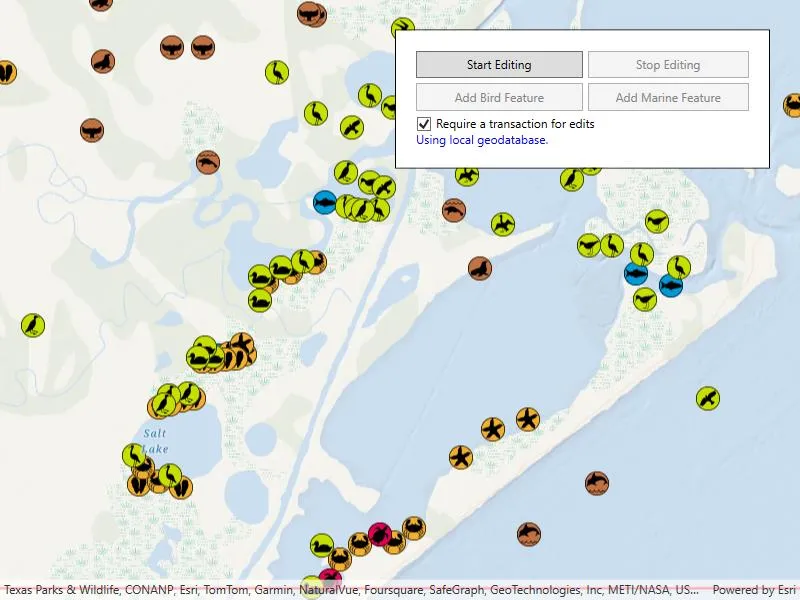 Image of geodatabase transactions