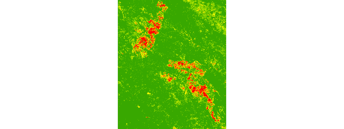 <ImageryLayer url:"https://datasciencedev.esri.com/server/rest/services/Raster/Before_L8/ImageServer">