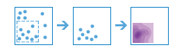 ../_images/calculate_density_standard.png