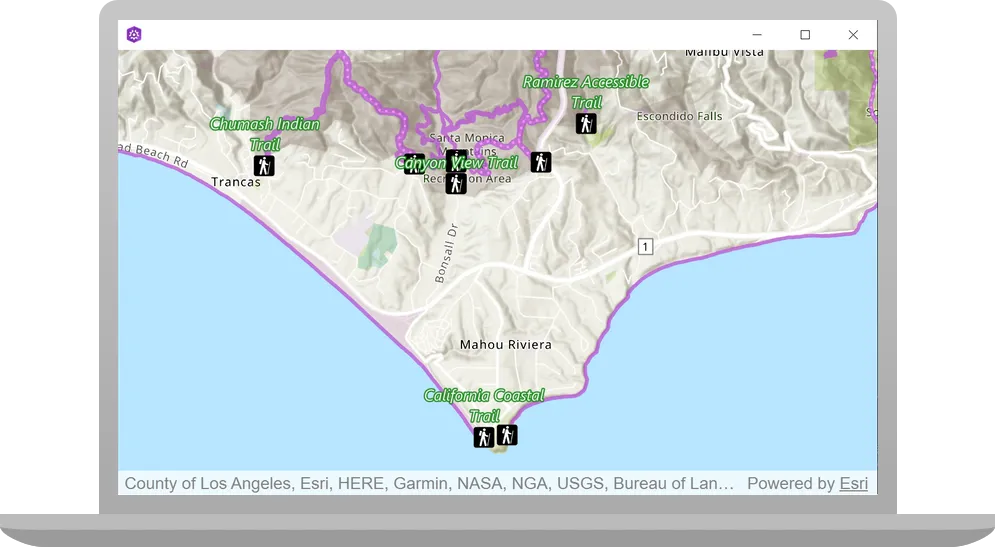 display a web map