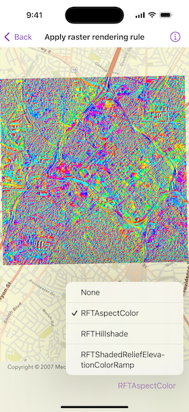 Image of Apply raster rendering rule sample