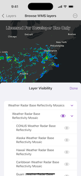 Image of browse WMS layers sample