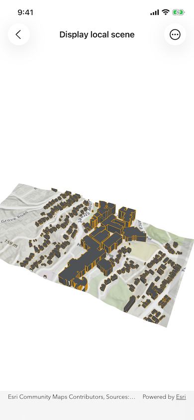 Image of Display local scene sample