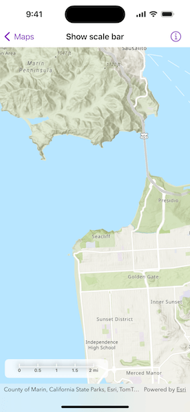 Image of show scale bar