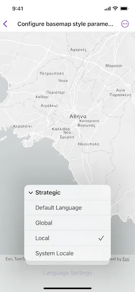 Image of Configure basemap style parameters
