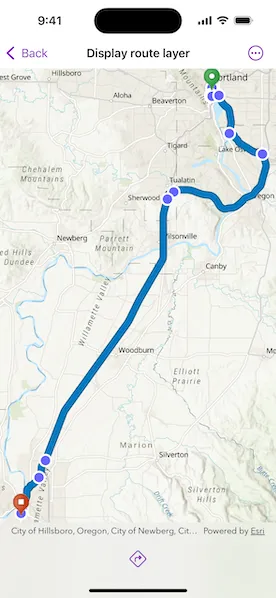 Screenshot of Display route layer sample with route layer