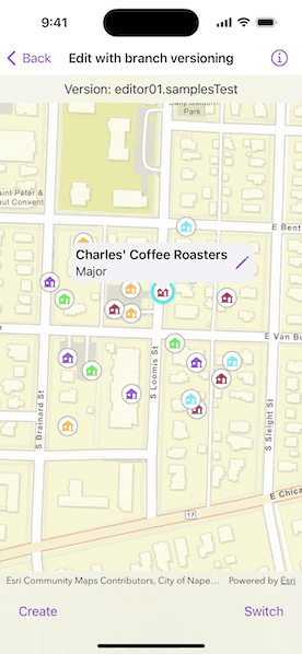 Image of Edit with branch versioning sample 2