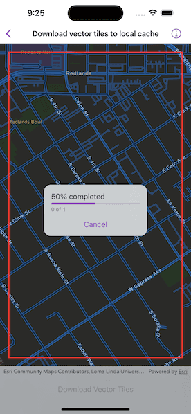 Screenshot of download vector tiles to local cache sample downloading