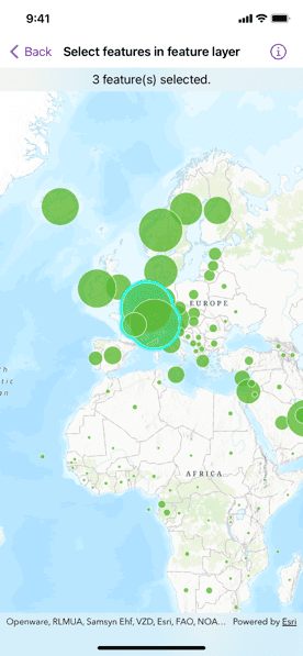 Screenshot of select features in feature layer sample