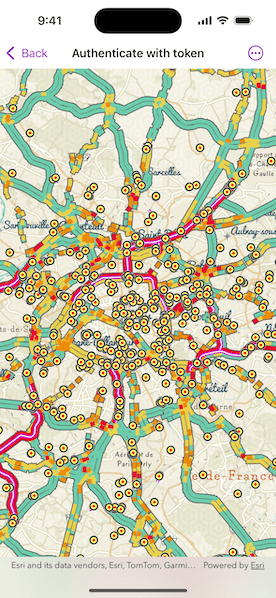 Map view after authentication