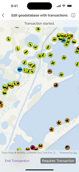 Screenshot of Edit geodatabase with transactions sample