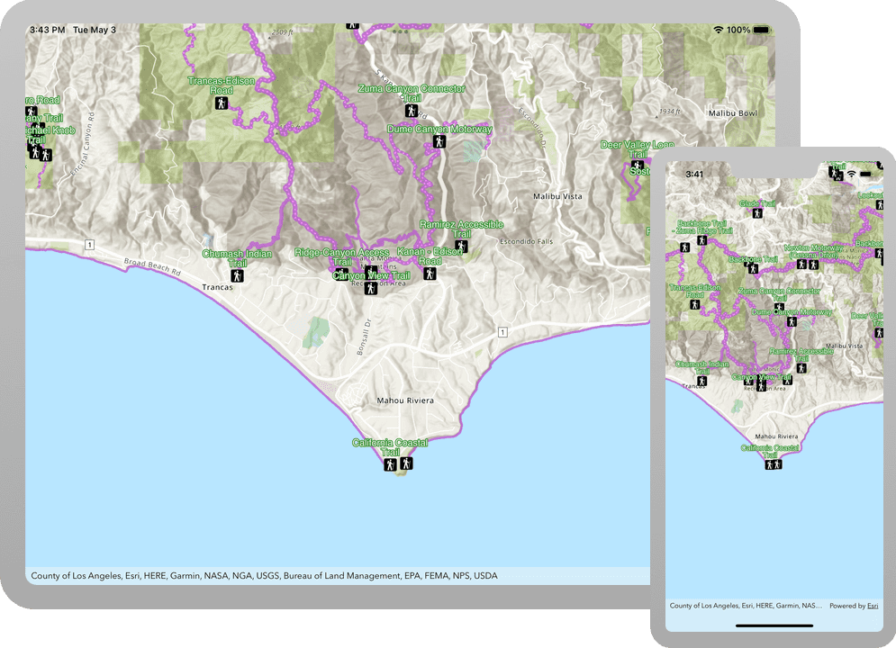 display a web map