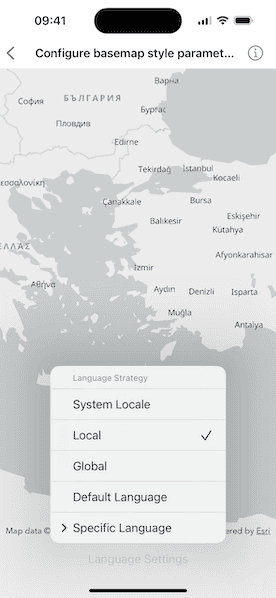 Image of Configure basemap style parameters