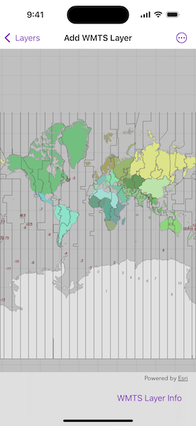 Image of Add WMTS Layer sample