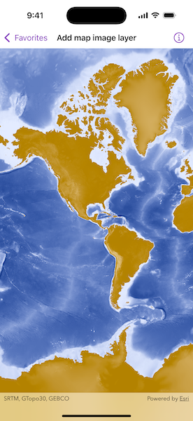Screenshot of Add map image layer sample