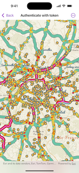 Map view after authentication
