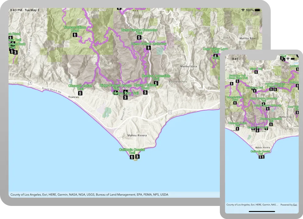 display a web map